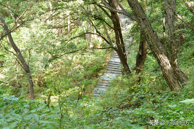 河北百草畔（中）：览尽三山舒望眼，行穿百草浣尘襟