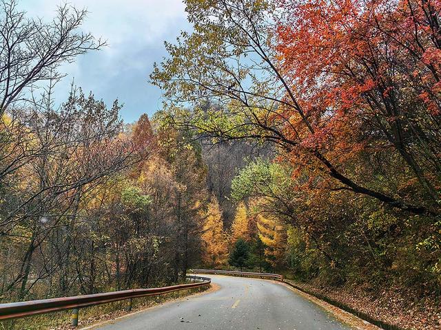 2024深秋四川行19 神农架风景区2 华中屋脊的五彩秘境