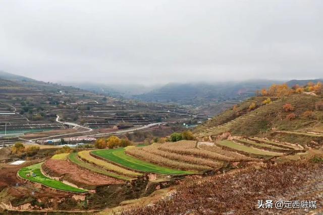 安定区：遇见满径金黄