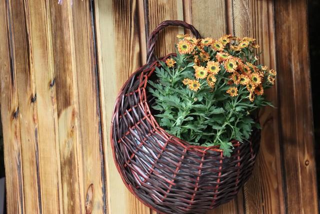 七十岁以上的老人，必备的四样物件，你知道是什么吗？