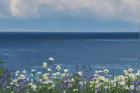 哈佛女孩蒋雨融“特权入学”风波升级，绿发会回应：推荐信未启用图片