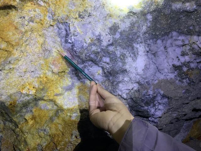 “金矿游”火了！游客花30元可淘金，沉浸式体验引爆黄金旅游热