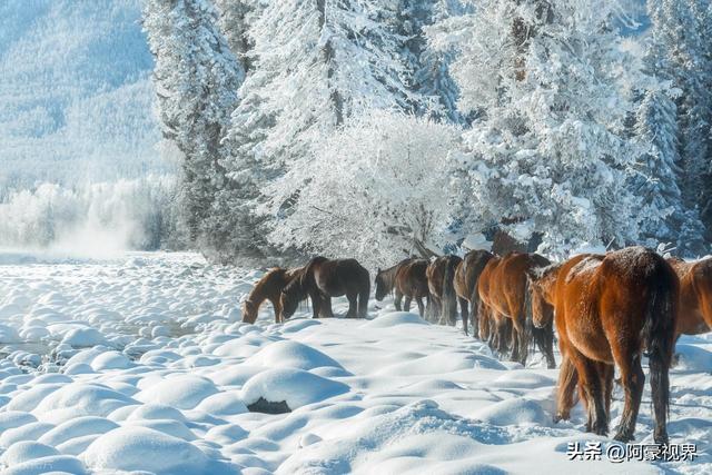 “不怕立冬雨，就怕立冬晴”今日立冬，晴天有啥怕的？看农谚咋说