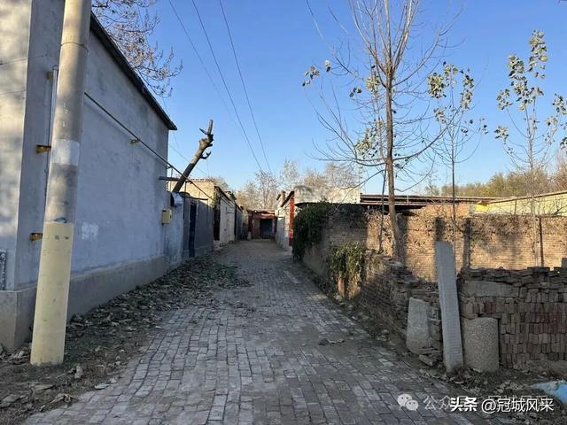 冠县乡韵·贾镇荆楼村