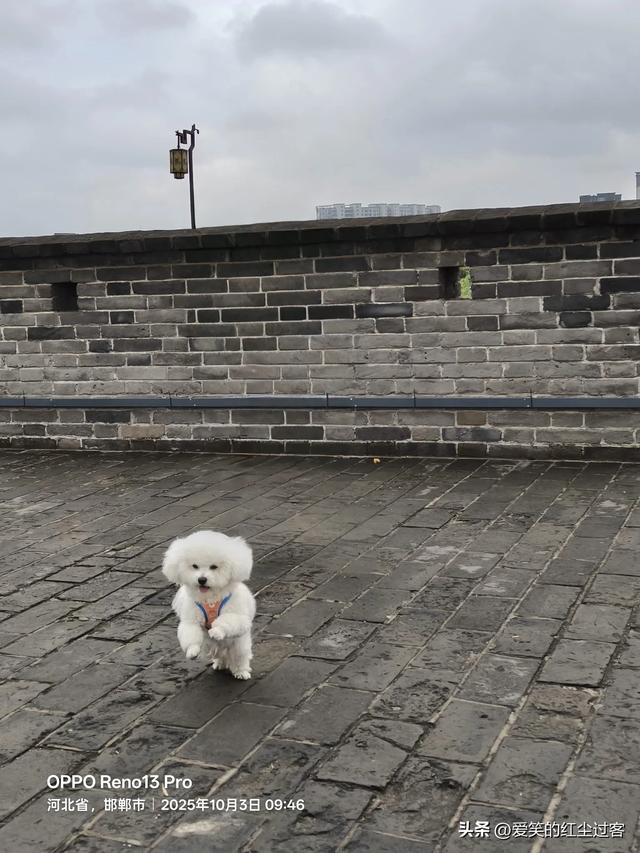 我的旅行日记——探访北宋陪都，最早的“北京城”:北京大名府