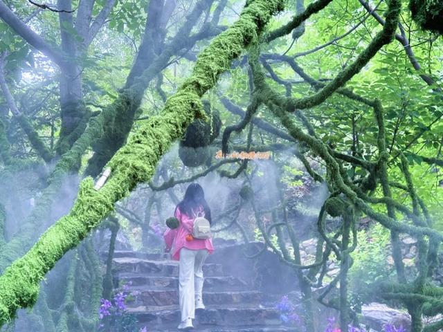 济南这片“会呼吸的森林”真的不太一样，趁暑假结束前快来一趟吧！