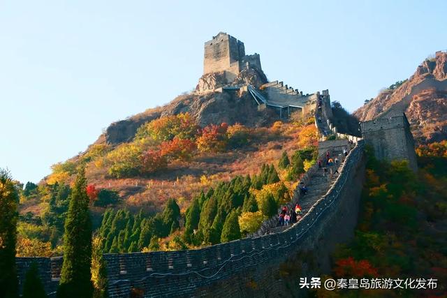 秦皇岛223公里明长城邂逅斑斓秋色,演绎最壮丽的北国风光!