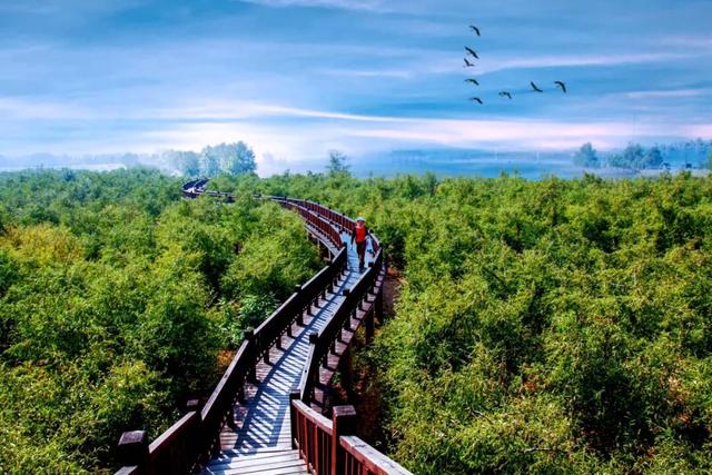 多彩滨州迎双节 文旅好礼乐不停│趣游沾化，玩转黄金周：十一文旅活动超全攻略！