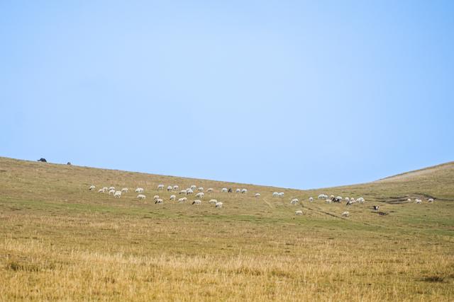 警苑 | 秋染敕勒川