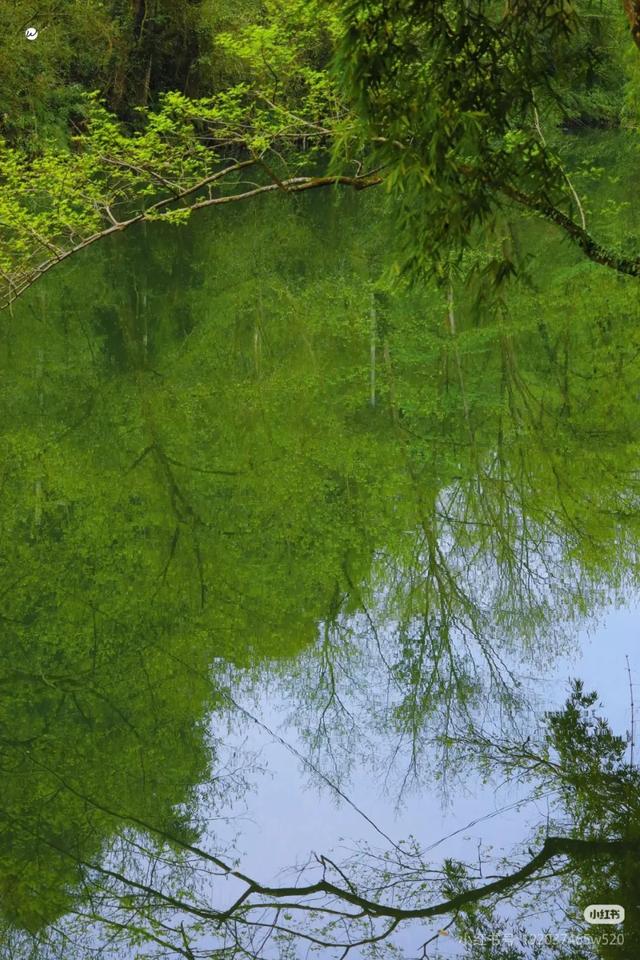 当天来回！动车40min直达冷门吸氧地，竹海徒步戏水钓鱼！物价感人、地道风味好吃到爆！