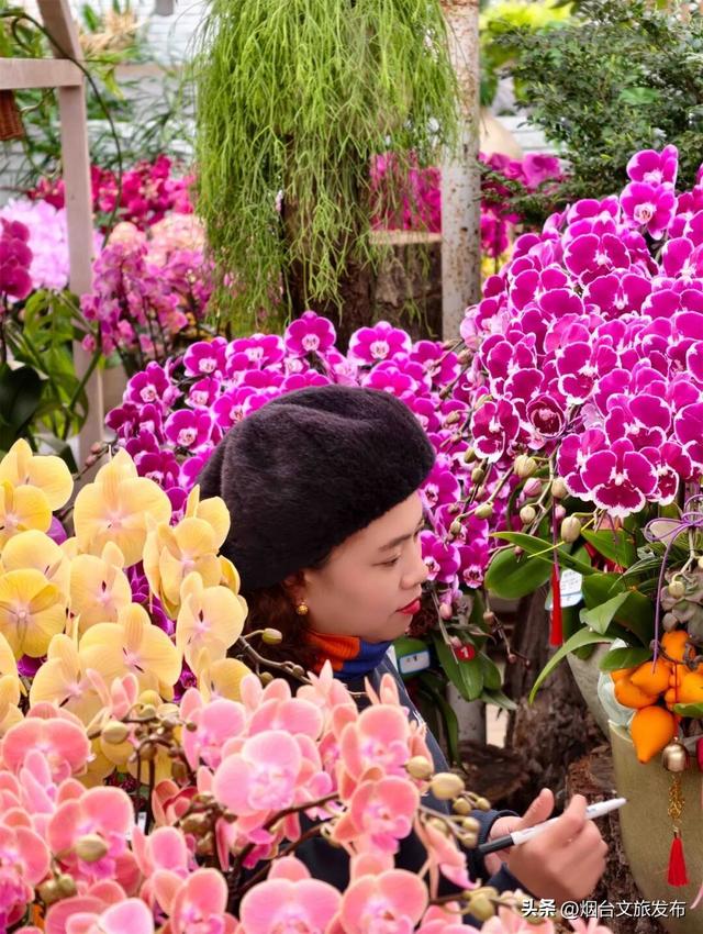 【乐游烟台】周末好去处丨全是花花！烟台神仙小店被花包围了