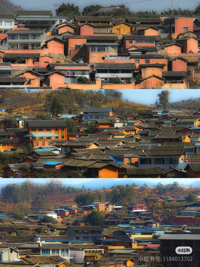 美疯了！高铁直达“四川小三亚”，花海开爆！草莓按盆吃，烧烤香迷糊！