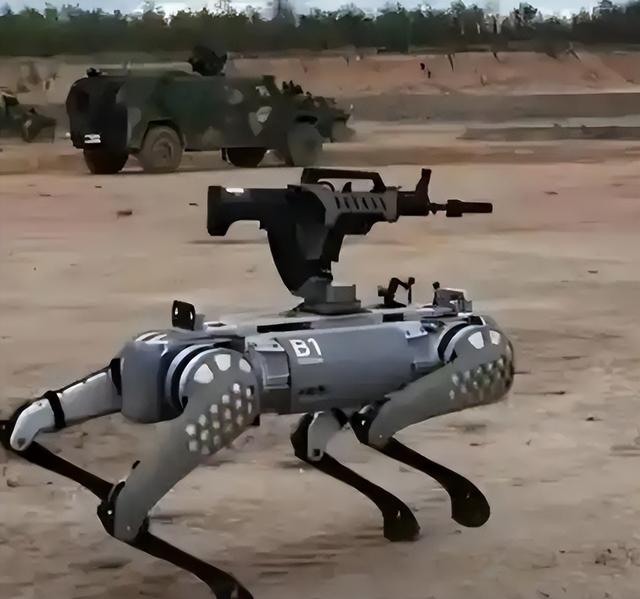 中印边境无人哨兵上岗，印度人笑它是稻草人，军方却笑不出来