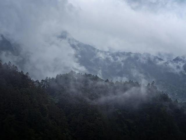 全国免票!高铁车票还打折,不要错过