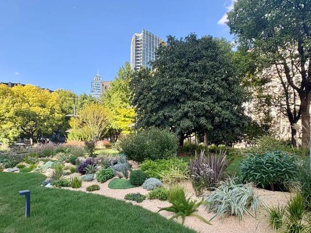 口袋公园上新！把“石库门”风情搬到街头