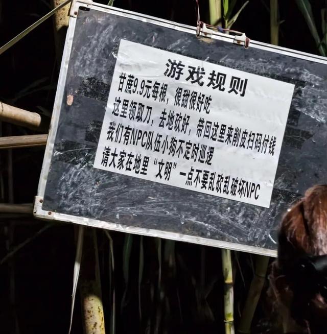 反向旅游神操作！四川眉山9块9自助偷甘蔗火出圈，吊打5A景区？