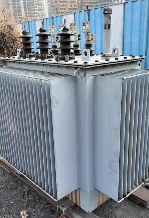 马斯克预言成真！全球抢购中国变压器，美国加税104%反被卡脖子