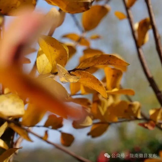 徽县泰湖，山水间的静谧风情