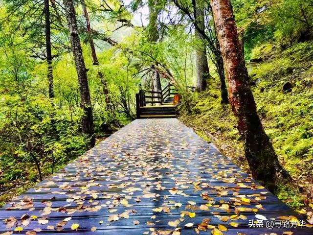 深秋的午后，拜访雪山深处的嫩恩桑措