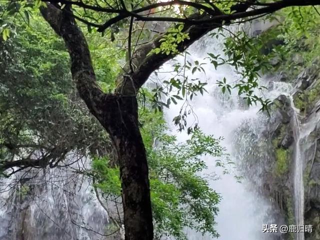 深圳马峦山看瀑布攻略（夏天避暑必去榜）