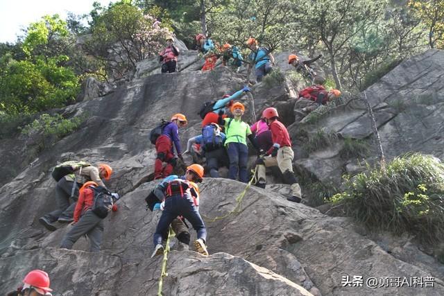 天价陪爬！峨眉山惊现“陪爬”，日薪最高3000元，服务边界引热议