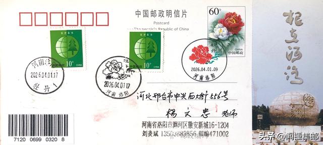 春到洛阳看牡丹