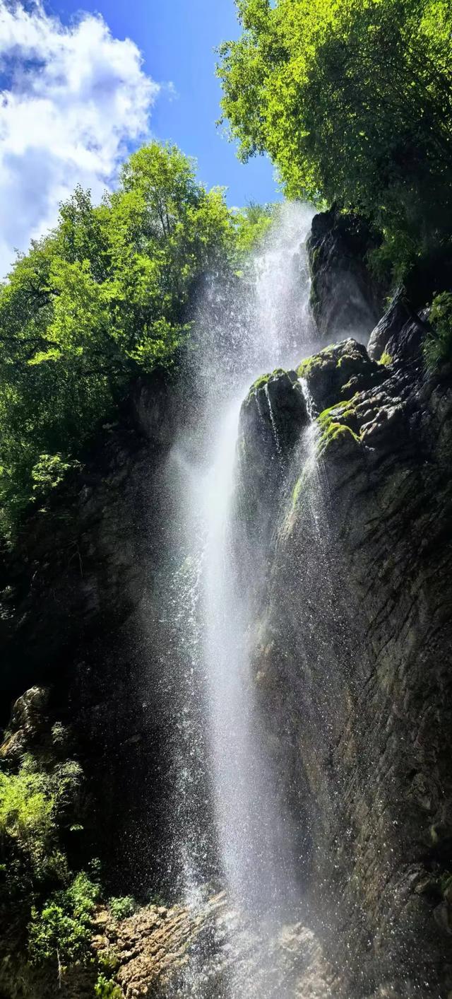 七月的官鹅沟在22℃的满目葱茏中，与焦虑和解~