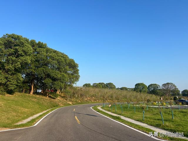 吴城狮子山观鸟