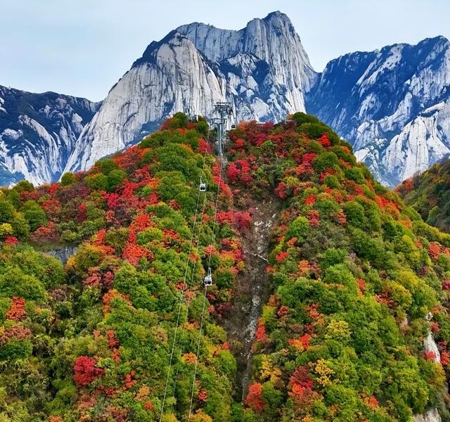 还能去哪儿赏最后一波秋色……