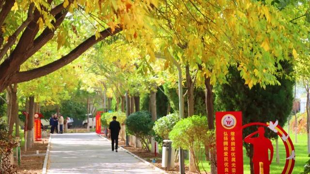 【白银文旅】金秋画卷里，白银区有片放松身心的好地方