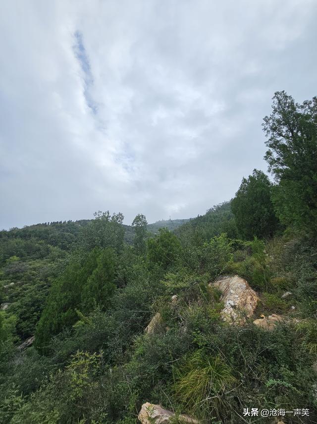 山里有什么，有高山起伏，有连绵大山，有绿树成荫，有台阶连绵