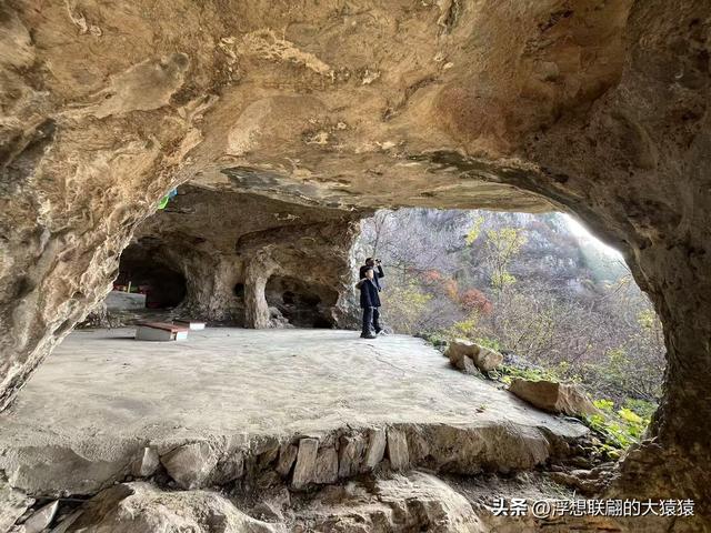 游赏过九鼎山后，我又跑到一户院里“强买”了大爷种在路边的白菜