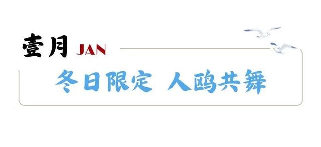市南的2026，应该这样过...