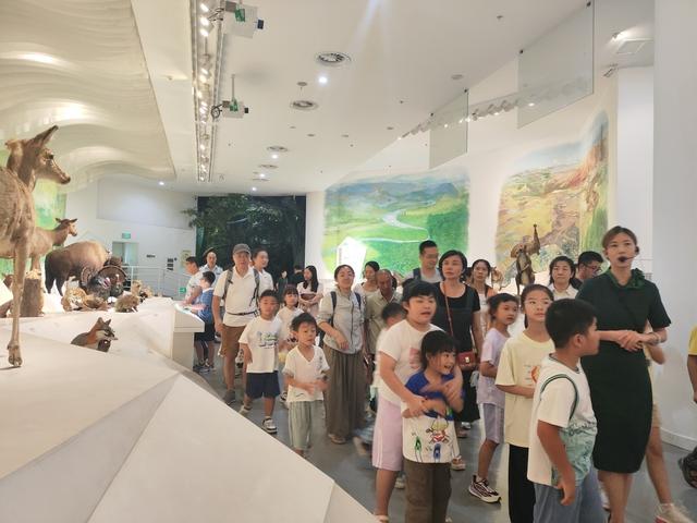 北碚：国庆中秋长假 重庆自然博物馆接待游客超10万人次