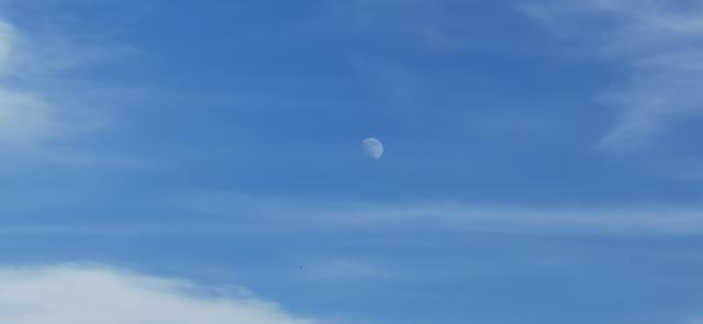 云南昆明 冬藏隐居山野间