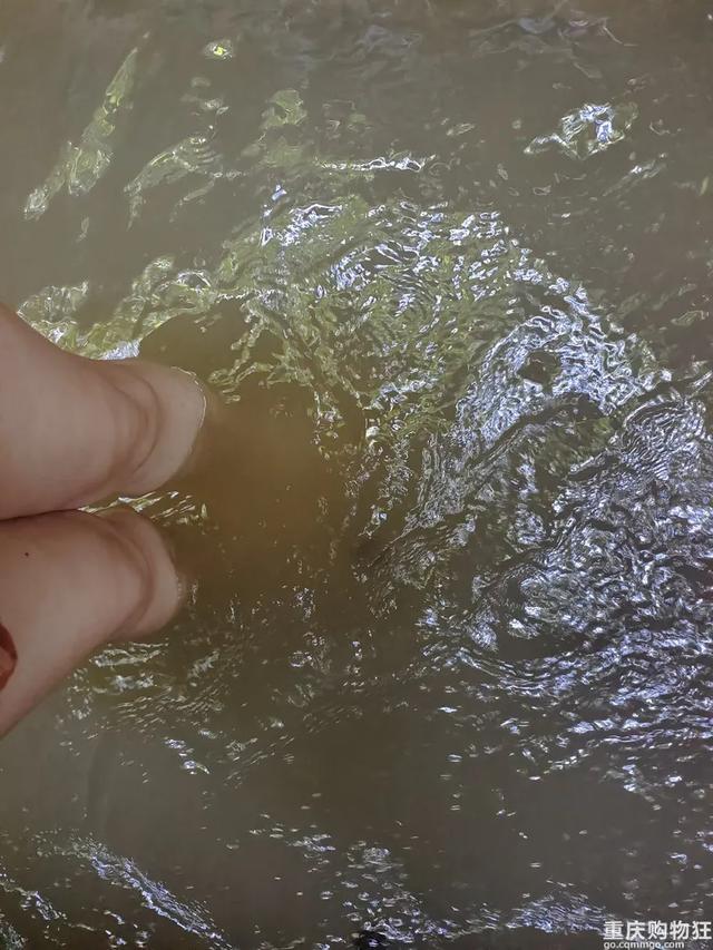 气温20℃+!重庆小众避暑点,吹凉风,捉小鱼,一日游也能耍安逸
