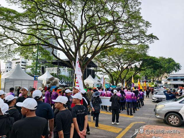 马来西亚(35)砂拉越州⑨峇哥国家公园徒步线路