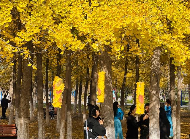 框住一园秋色：临沂园博园创意景观引客来