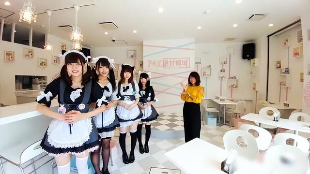 女仆咖啡厅你们去过嘛？东京有个咖啡厅男生客串女仆！高能出场