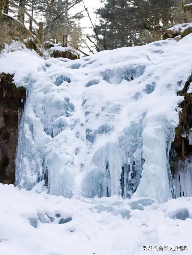 雪落神农架：解锁华中秘境的冬日仙境