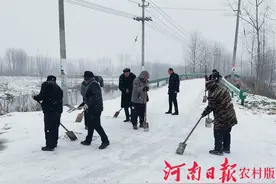固始县徐集镇：闻雪而动 确保畅通图片