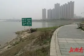 老长沙溯源捞刀河，苏托垸湿地如何蜕变？图片