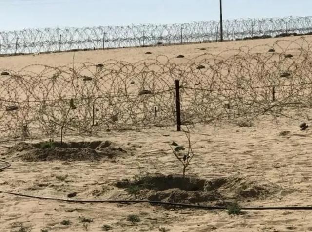 参观夏杰拉高地