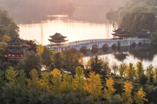 最高气温20℃！重庆人快来这些公园晒太阳