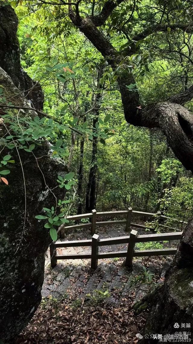 真正的小众避暑胜地！这方秘藏于千米高山之上的清凉秘境等你来！