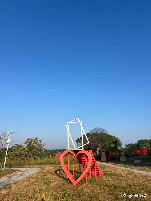 吴城狮子山观鸟