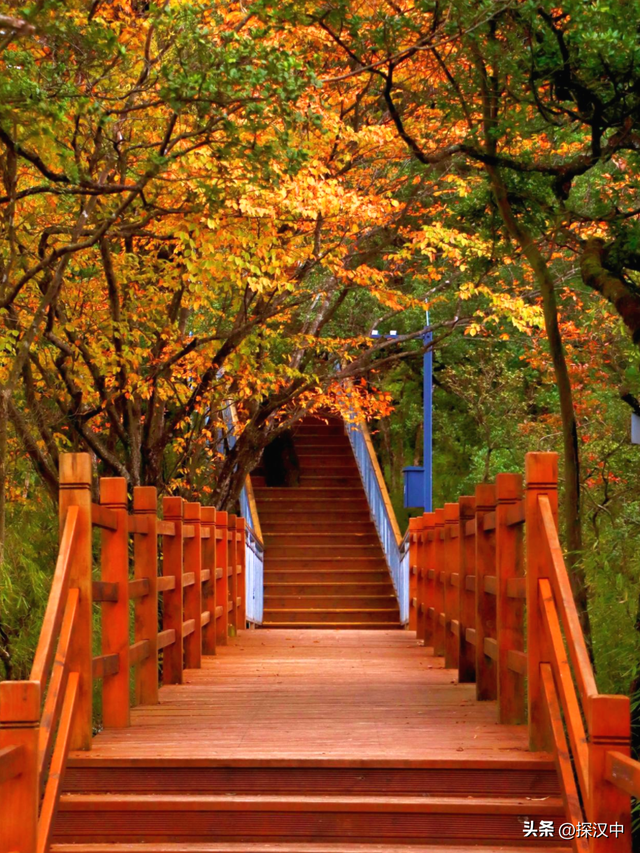 春有繁花夏有凉，秋染山林冬有霜 —— 草川子景区