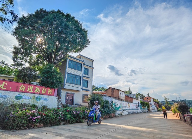 滇中新区提速“绿美新区”建设，绘就宜居宜业宜游新图景