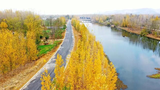 景色怡人！大自然的冬日画作，小城成了树木编织的五彩秘境！