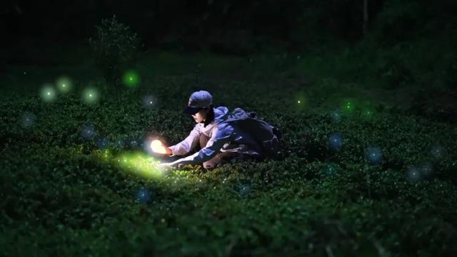 免票！成都吃饭2H直达21℃云端秘境，避暑耍真雪！观山水云海风光，赏神秘民俗风情！